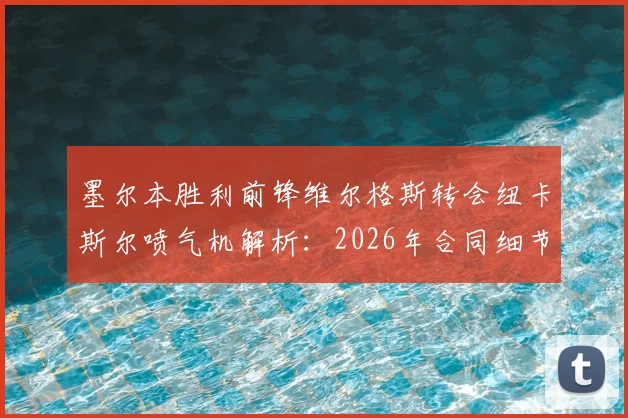 墨尔本胜利前锋维尔格斯转会纽卡斯尔喷气机解析：2026年合同细节、转会费与球队战术影响前瞻